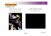 [촉진관리]온라인게임 리니지2 `LineageⅡ` 촉진전략-10