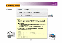 [촉진관리]온라인게임 리니지2 `LineageⅡ` 촉진전략-12