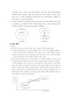 [국제경영]인삼차 제품의 멕시코 시장 공략-7