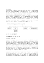 [국제경영전략] 남양알로에의 해외진출 성공사례-15