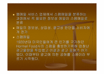 [컨텐츠비교분석] 다음(daum)과 프리챌(Freechal) 유료화컨텐츠관점비교분석-15