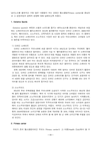 [스포츠산업] 스포츠산업의 영향력과 앞으로의 전망-13