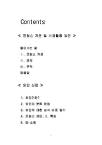 [프랑스경제] 프랑스개관 및 시장활용 방안-1