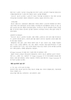 [연구계획서]이미지중심 광고영상과 기호학중심 광고영상 비교-TTL,트라스트-8