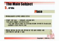 [마케팅] 롯데칠성 미녀는 석류를 좋아해 마케팅전략-10