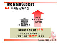 [마케팅] 롯데칠성 미녀는 석류를 좋아해 마케팅전략-13
