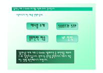 [마케팅, 경영전략] 삼성 애니콜의 4P전략-3