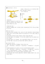 [사업계획서] 호텔사업계획서-5