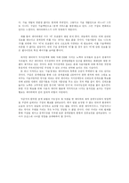 [인터넷컨텐츠] 국내 포털사이트 성공전략-15