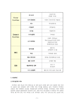 [국제경영] 피자헛과 미스터피자 글로벌경영사례-5