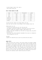 [국제경영] SK의 미국진출과 이동통신 서비스 확대 방법-2