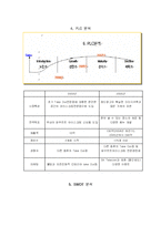 [마케팅전략] 요거트 아이스크림 레드망고 마케팅전략 분석-10