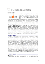 [경영학] 싸이월드 타운서비스가 갖는 경쟁력과 발전방향-2