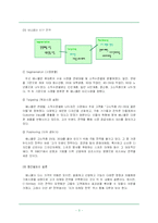 [마케팅, 경영전략] 삼성 애니콜의 4P전략-3