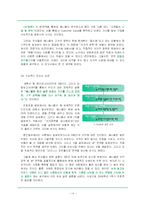 [마케팅, 경영전략] 삼성 애니콜의 4P전략-14