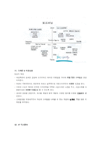 [패션마케팅] 브랜드 런칭과 마케팅전략 -나이키우먼-14