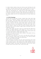 [마케팅] 롯데칠성 미녀는 석류를 좋아해 마케팅전략-9