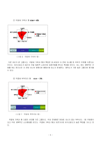 [마케팅, 경영전략] 월마트의 한국시장 재진입-6