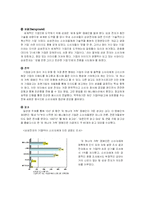[광고원론] 광고와 캠페인-국내외의 성공한 캠페인들-7