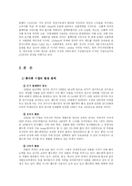 [마케팅] LG전자의 초콜릿폰 사례 분석-4