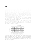 [마케팅] 마케팅 성공전략 - H Igor Ansoff의 이론을 바탕으로-3