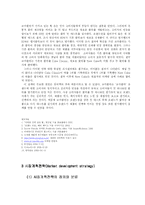 [마케팅] 마케팅 성공전략 - H Igor Ansoff의 이론을 바탕으로-12