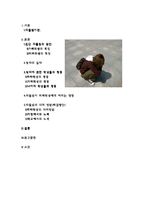 학교 현장에서의 집단 따돌림(왕따)의 문제점과 개선방안-2
