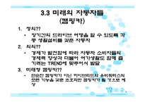 경제발전에 따른 미래의 자동차-10