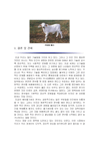 줄기세포(stem cell) 줄기세포연구-11