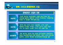 [이문화경영] 이문화 경영하의 성공 상품사례 -한류상품의 성공 사례-10