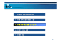 [이문화경영] 이문화 경영하의 성공 상품사례 -한류상품의 성공 사례-11