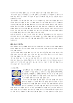 [중국 대중문화] 중국의 명절-8