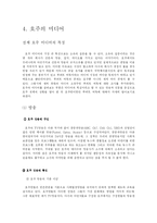 [국제커뮤니케이션] 오세아니아 -호주와 뉴스코퍼레이션을 중심으로-14