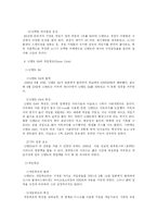 [일본게임산업] 일본 기업 닌텐도를 중심으로 일본의 게임산업에 대해-14