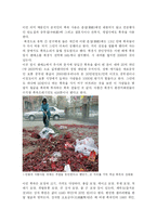 [중국문화] 중국의 놀이문화 폭죽-3