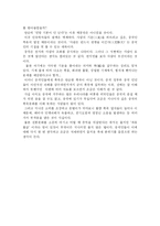 [중국문화] 중국의 놀이문화 폭죽-6