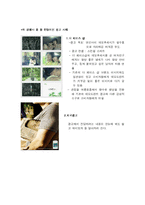 [광고기획론] 니베아 데오드란트 광고기획서-10