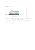 [광고기획론] 니베아 데오드란트 광고기획서-14