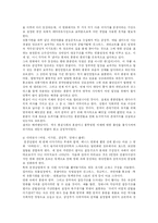 [중국문화] 왕가위와 그의 영화-5