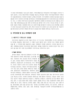 지방자치와 지역개발 및 장소마케팅(연관성, 사례, 장단점)-5