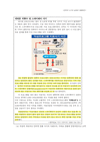 [인터넷과 법] 인터넷 사기의 실태와 대응방안 연구-12