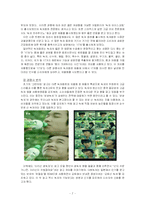 [설득커뮤니케이션] 관점가변이론의 의의 및 나아갈 방향-7