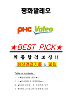 평화발레오 면접기출(최신)+꿀팁[최종합격!] +1000대기업 1차 직무면접 + 2차 임원면접 최종합격자 답안-1