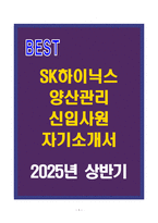 A+ SK하이닉스 양산관리 신입사원 자기소개서-1