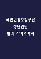 국민건강보험공단 청년인턴 합격 자기소개서 (국민건강보험공단 자소서)-1