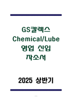 GS칼렉스 Chemical&Lube 영업 신입 자소서-1