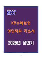 KB손해보험 영업지원 자소서-1