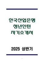 [A+] 한국산업은행 청년인턴 자기소개서-1