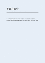 동물사료학 2025년 1학기 중간과제물) 일반적으로 국내 한육우 농가에서 이용량이 가장 많은 조사료(粗飼料)는 무엇이고, 사료적인 특성과 이용성 증대를 위한 방법에 대하여 설명하시오-1