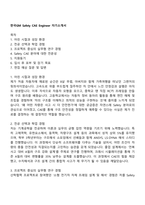 한국GM Safety CAE Engineer 자기소개서-1